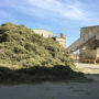Análisis de las exportaciones de alfalfa deshidratada del primer semestre de la campaña 2019/20